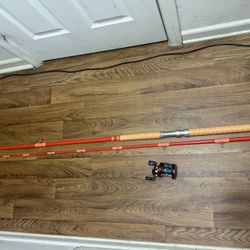 10ft 2 Piece Ancient Mariner / Abu Garcia 6601 Sx  