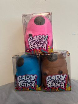 Capy bara squishy