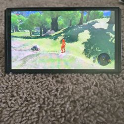 (Zelda) Nintendo switch oled