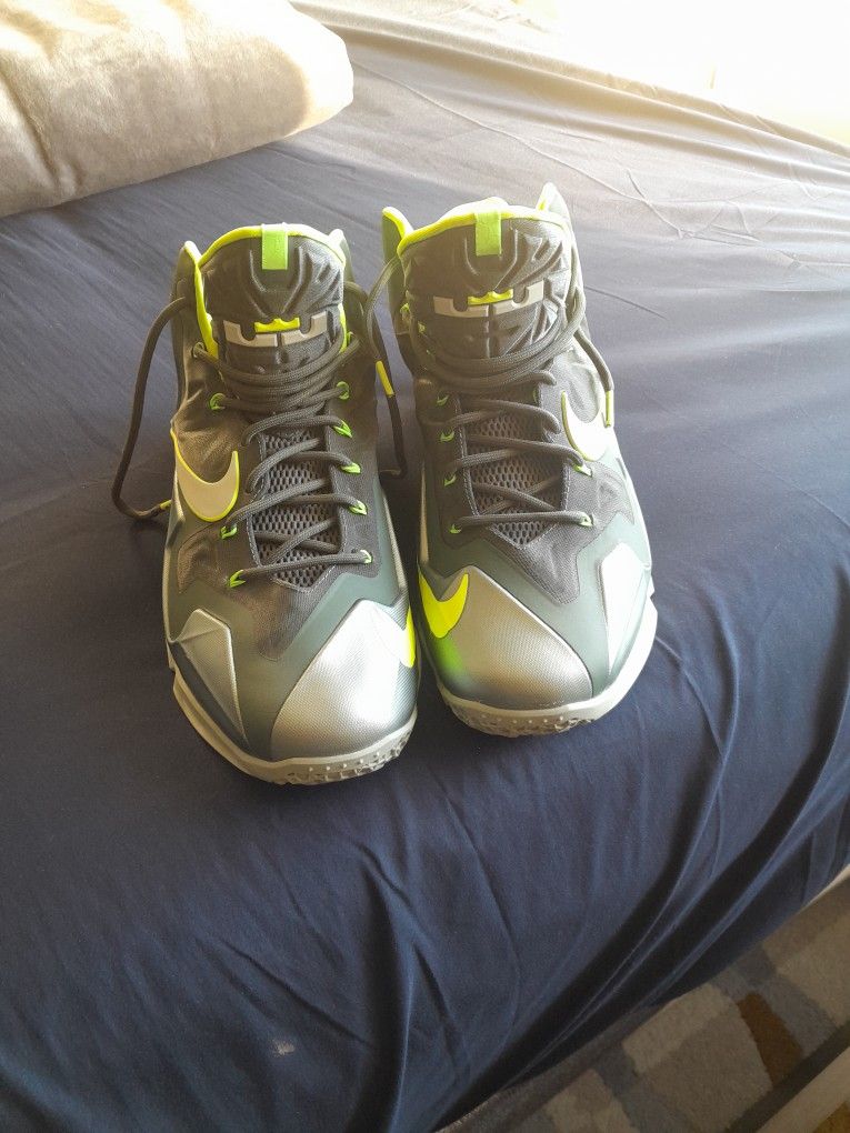 Nike Lebron 11 Dunkman Size 13