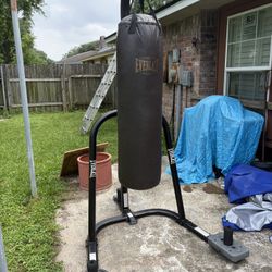 Everlast Punching Bag And Stand