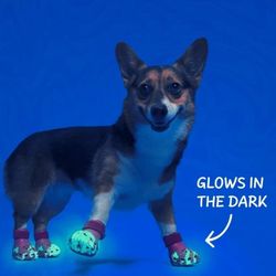 GREEN PET CROCS SZ SM