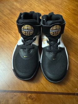 Nike TeamHustle Shoes