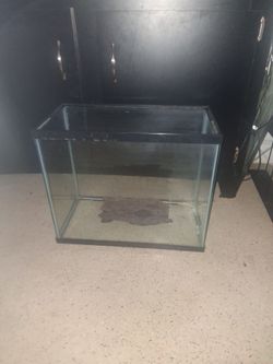 fish tank