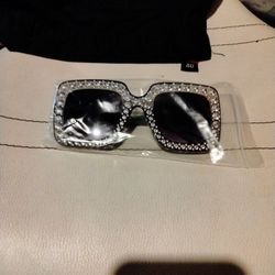 Ladies Sunglasses