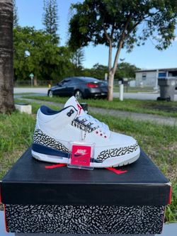 Air Jordan 3 True Blue Sneakers
