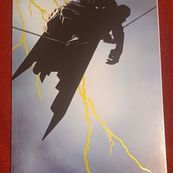 Fan Expo Dark Knight Returns Variant 