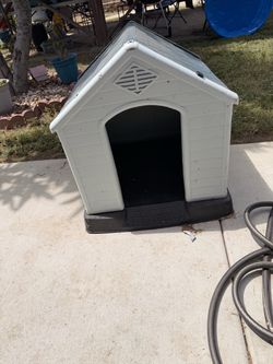 Dog House