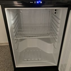 Mini Refrigerator With Keg Capability