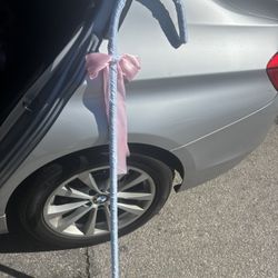 Bo Peep Sheep Hook Shepard Hook Pole