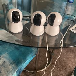 Pet Cams Or Indoor Security Cameras 