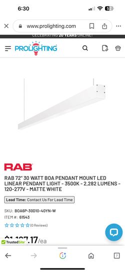 Pendant Linear Light