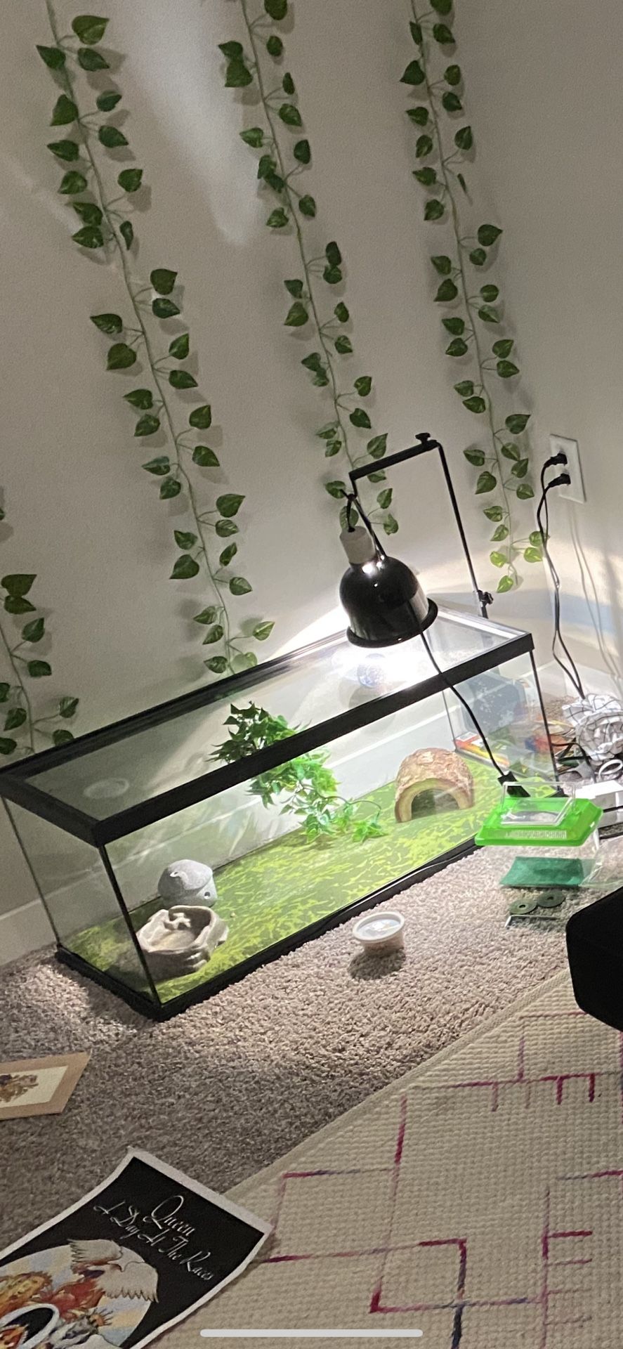 Gecko Or Snake Terrarium