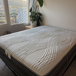 Queen Mattress + Adjustable Frame