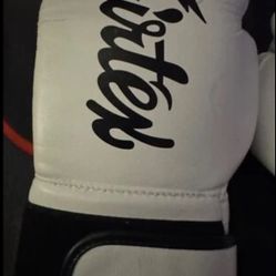 Fairtex Boxing Gloves