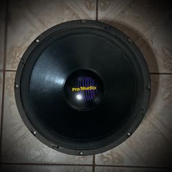 15” Inch Subwoofer. 2 Available 