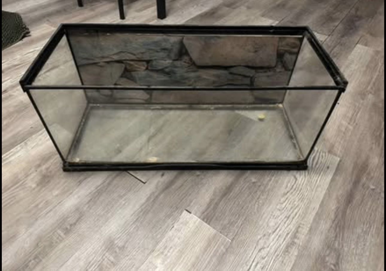 20 Gallon Tank