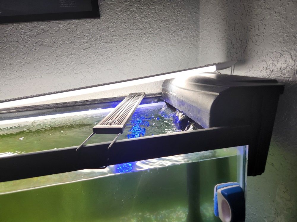 FISH TANK