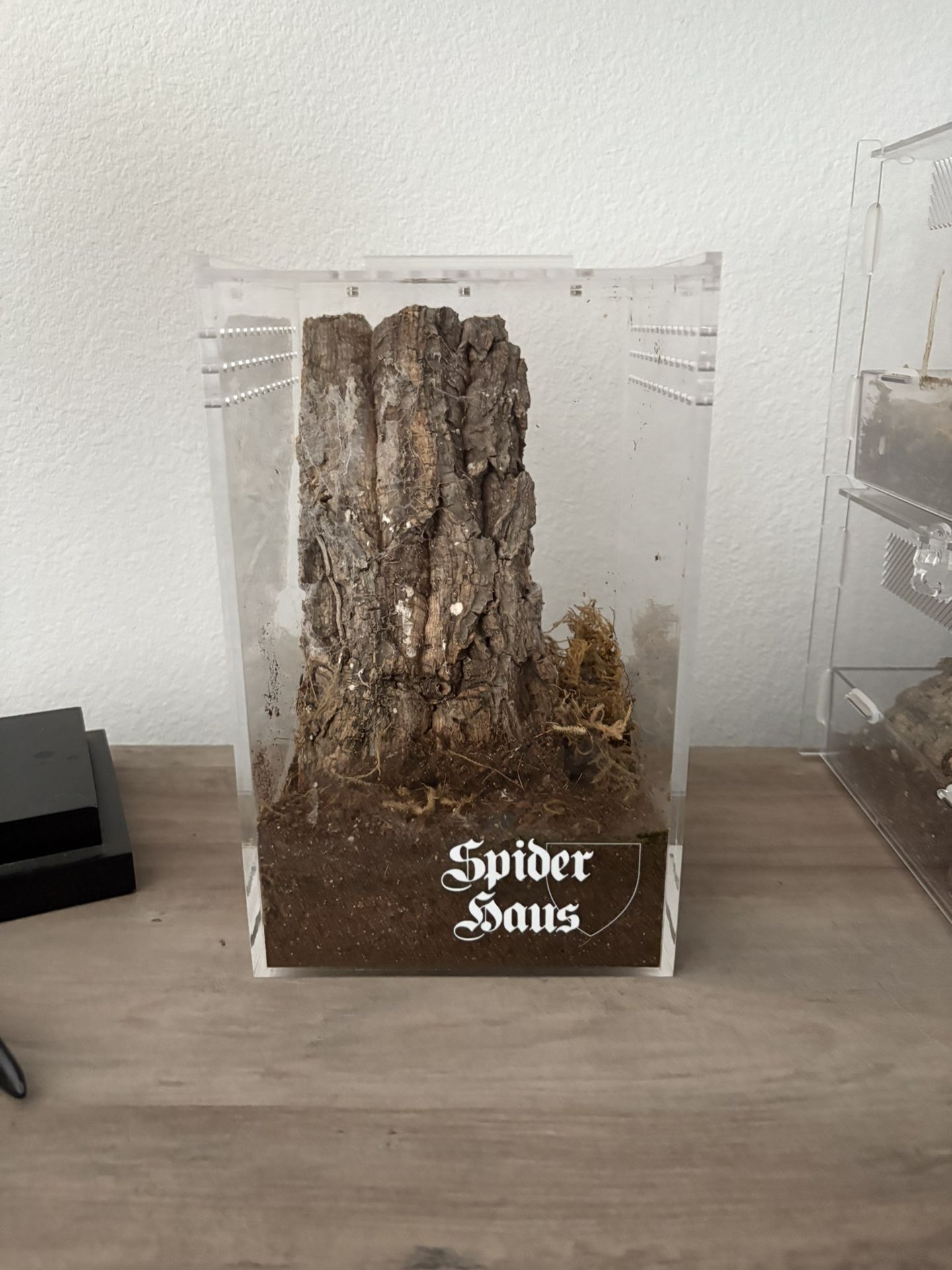 Spider Haus Tank