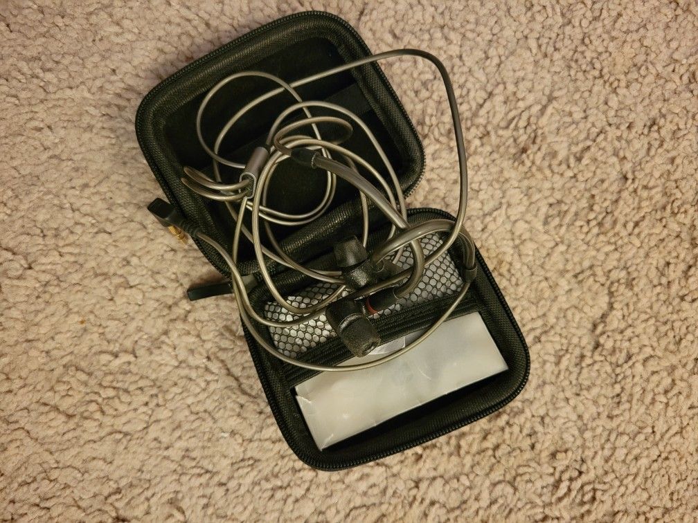 Sennheiser Audio IE 300 in-Ear Headphones