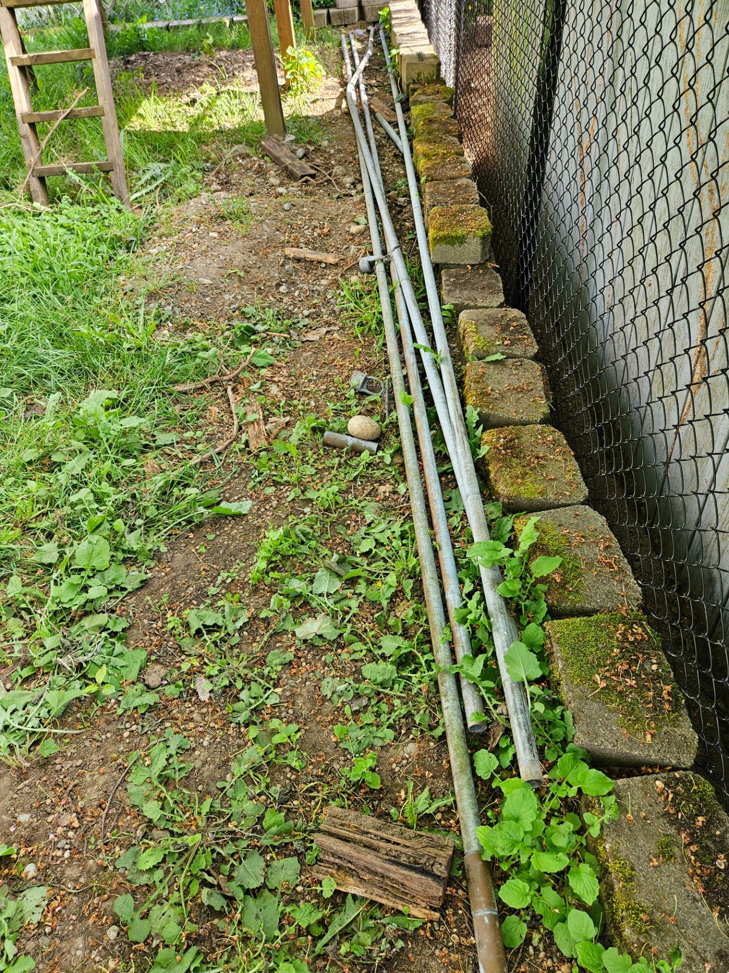 4ft chain link fence