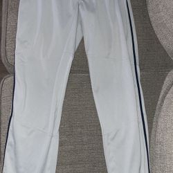 Youth XL Nike baseball Pants NavyStripe