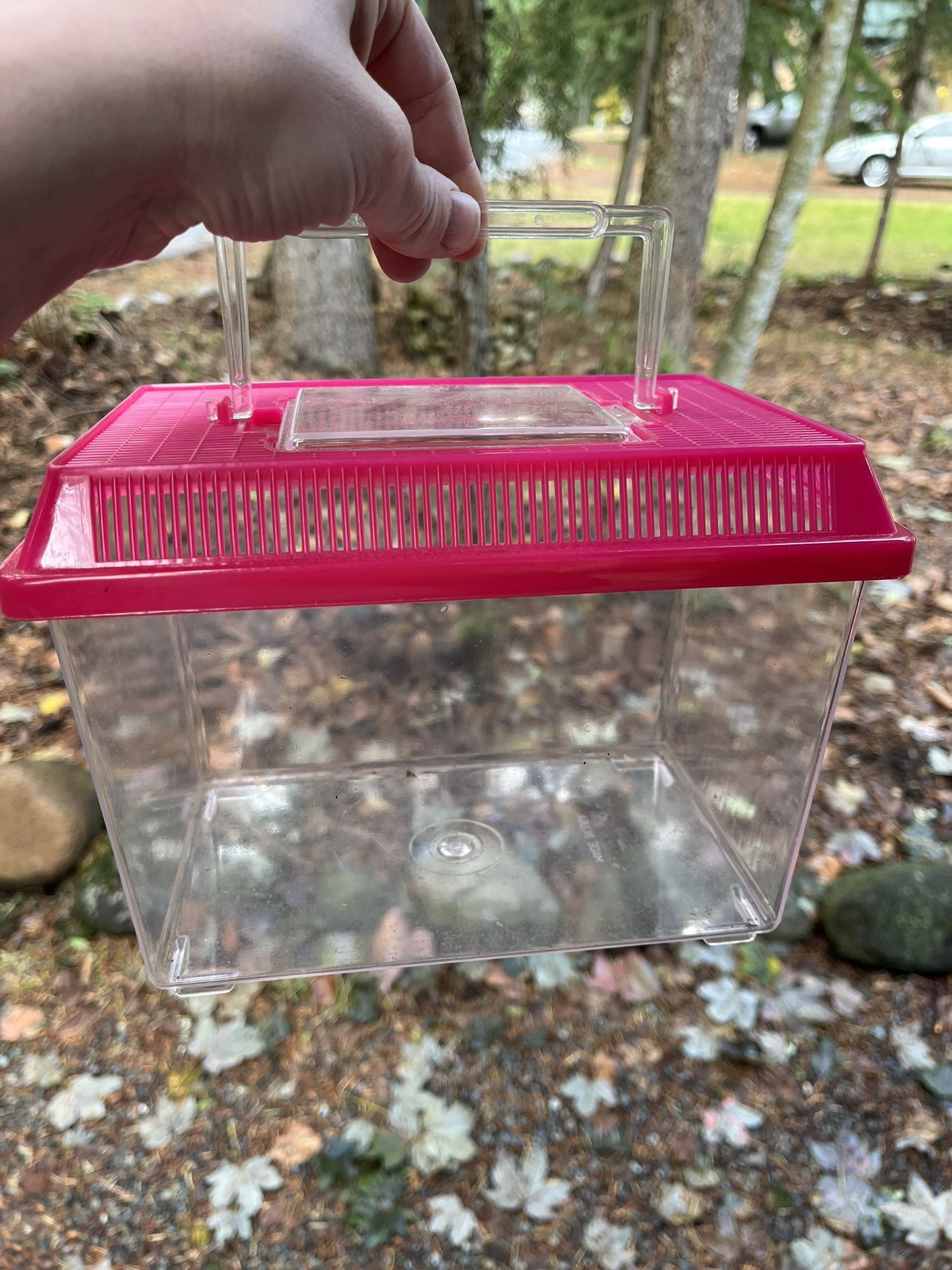 Inspect Carrier Cage