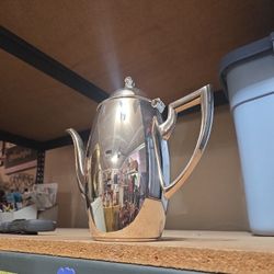 Silver Coffee Kettle 