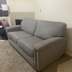 Gray Pull Out Bed Couch