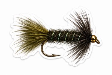 Fly Fishing Woolly Bugger Trout Sticker Rainbow Brown Trout Decal