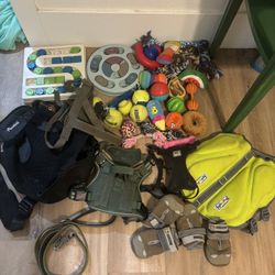 dog puppy pack 