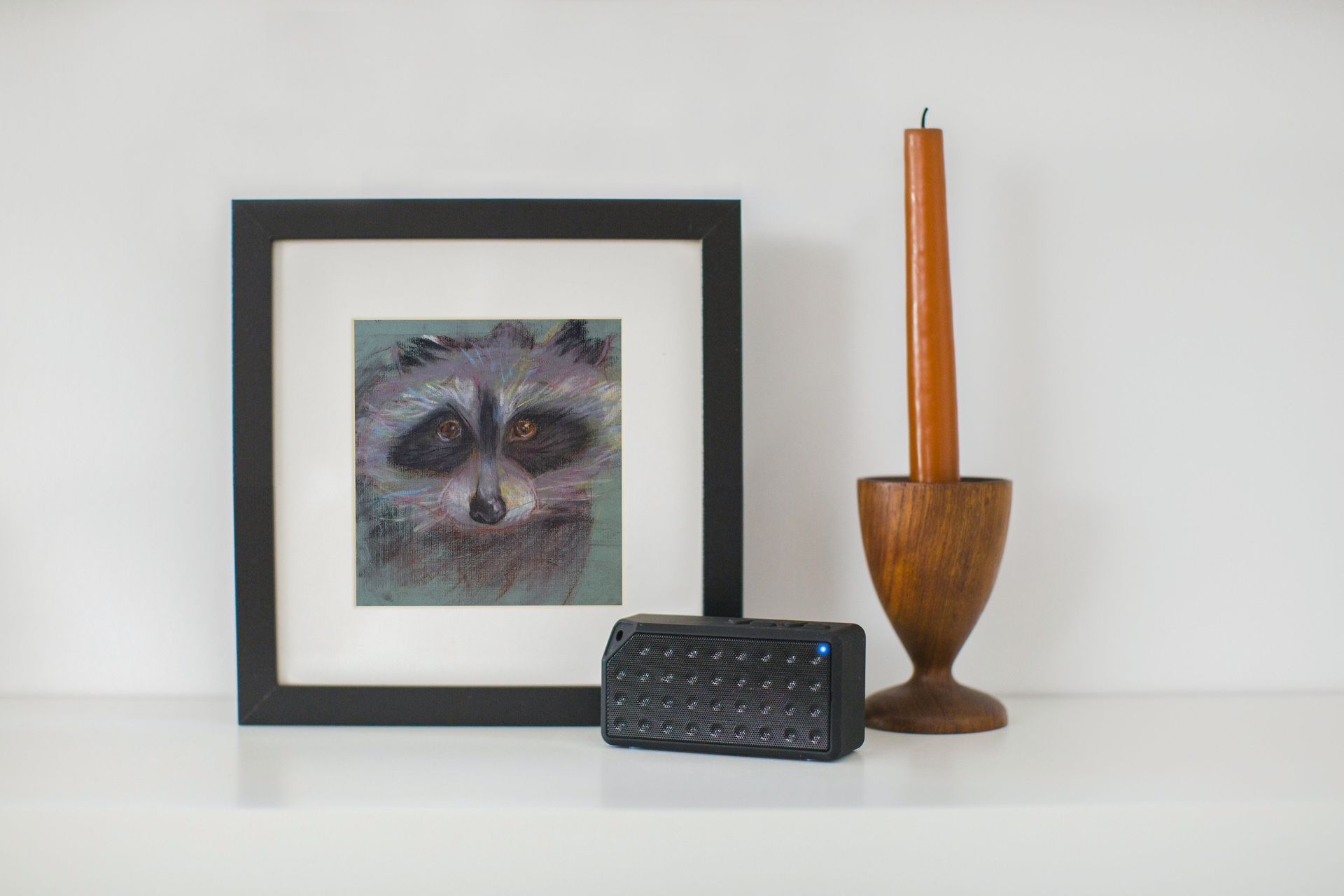 Wild Life Study in Pastel on Charcoal Paper - Student Sketch