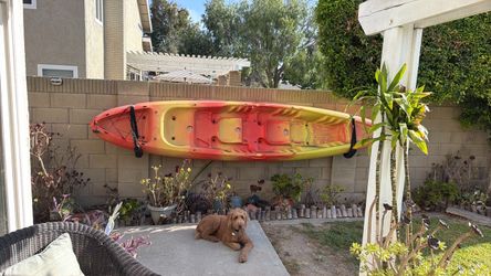 Kayak