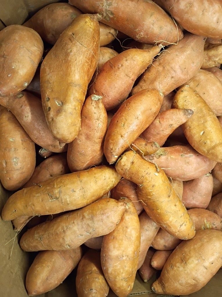 Sweet Potatos