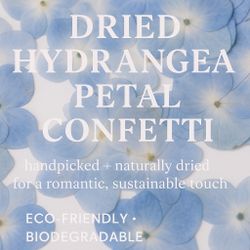 Hydrangea confetti