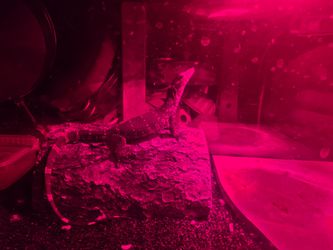 Ornate monitor for sale