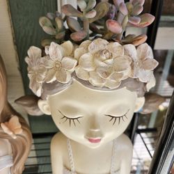 Korean Succullen 