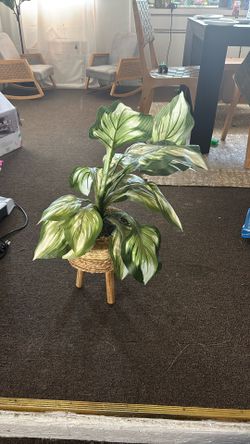Faux Plant
