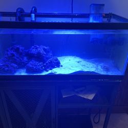 20 Gallon Long Reef Saltwater Or Freshwater Tank Aquarium W/ Live Rock, Protein Skimmer, Canister Filter, Sand/water, Stand