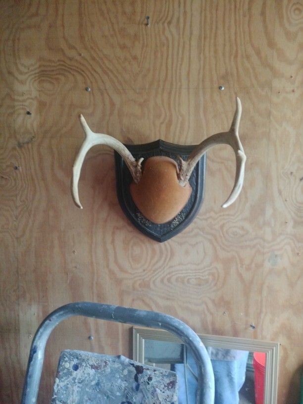Antlers