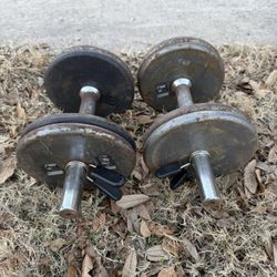 Dumbbell Pair