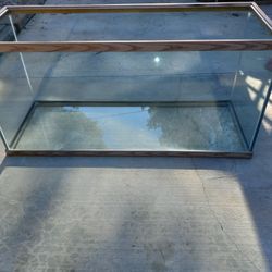 Fish/reptile Aquarium 