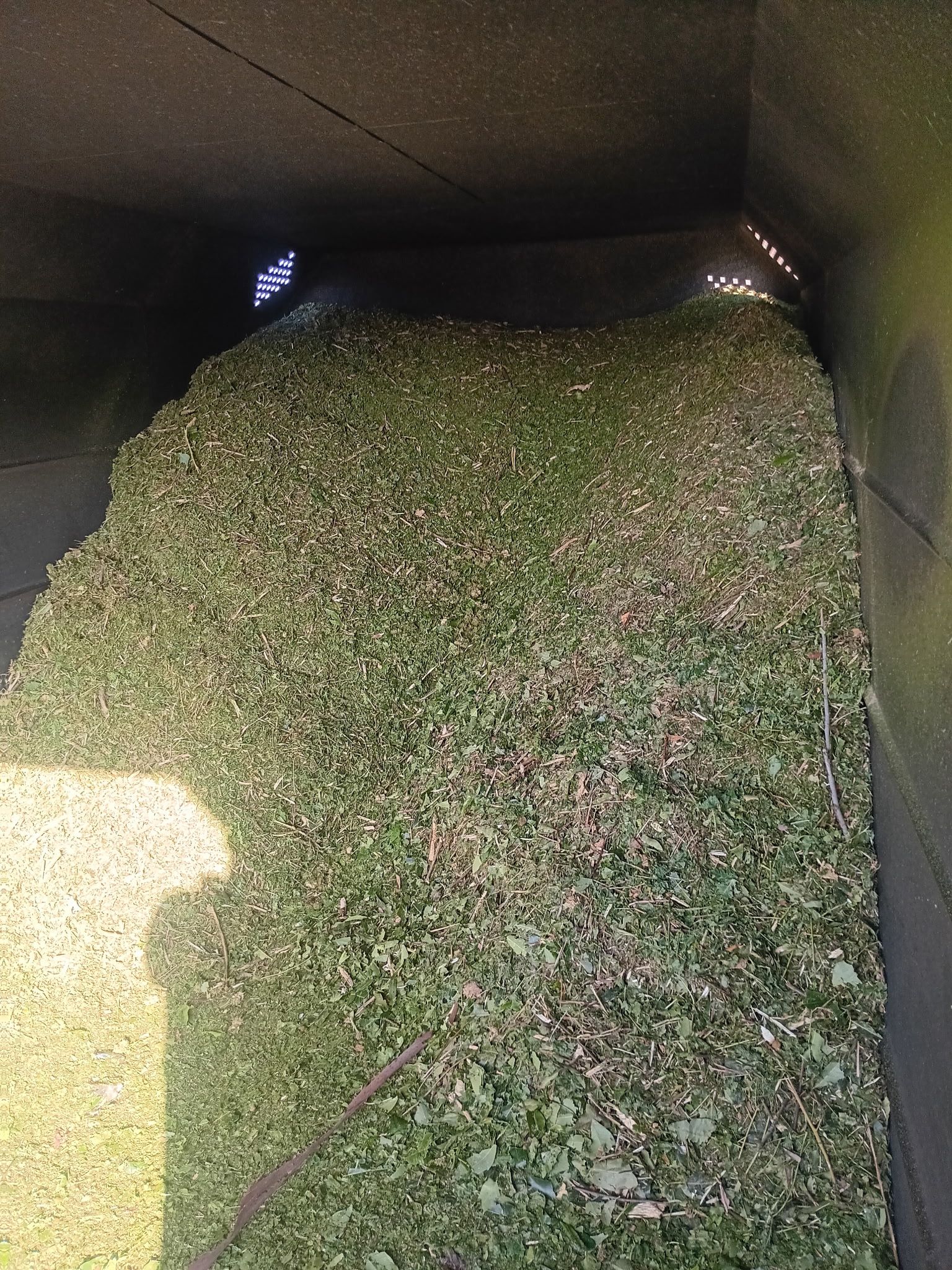 FREE CLEAN Wood Chip Mulch