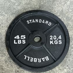 45 Lb Plates (pair)