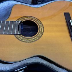 Electric Guitar