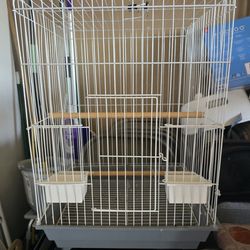 Small  Birds  Cage