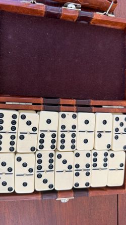 Domino Set in Leather Case