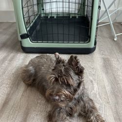 Offer up hotsell dog crate