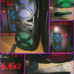 Portable Dual 6.5" Bluetooth Speaker 🔊  Microphone for Karaoke 