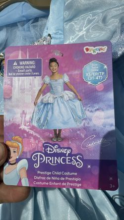 Cinderella Princess Dress Costume - Halloween